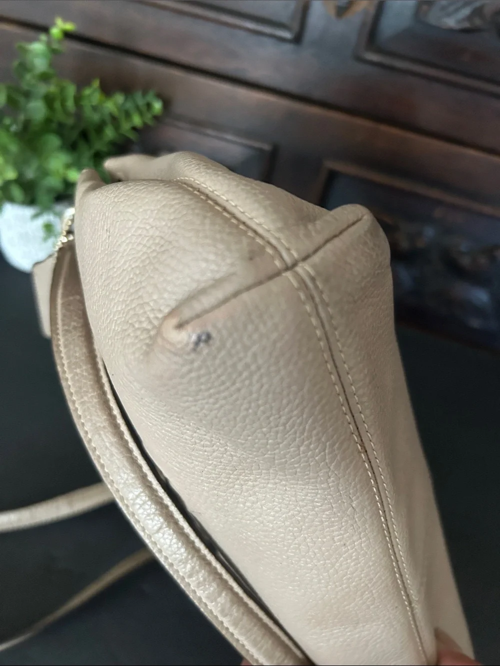 Coach Leather Crossbody Bag in Taupe with Embossed Carriage